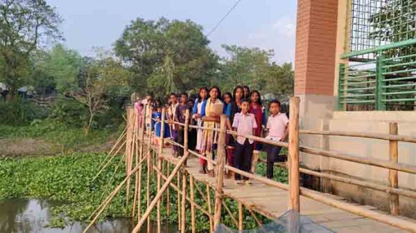 ১২০ শিক্ষার্থীদের পথচলা পুরাতন কাঠের তৈরি সাঁকো ভাঙ্গলেই সমস্যা হবে