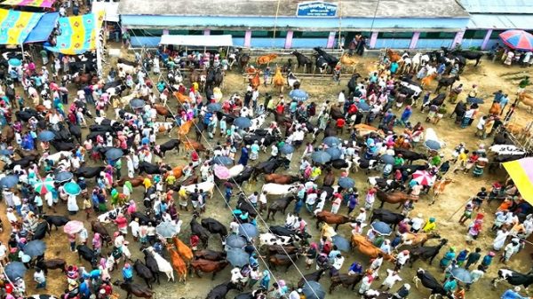 পাবনার ভাঙ্গুড়া শরৎনগর হাটের টোল রেট পুনঃনির্ধারণের দাবি; জেলা প্রশাসকের কাছে আবেদন