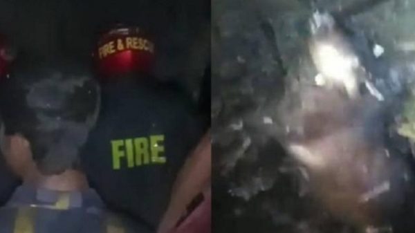 তানোরে গোয়ালঘরে আগুনে পুড়ে মারা গেছে ৬ গরু